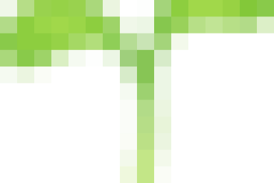 Hưởng ứng phong trào “Ngày Chủ nhật xanh”